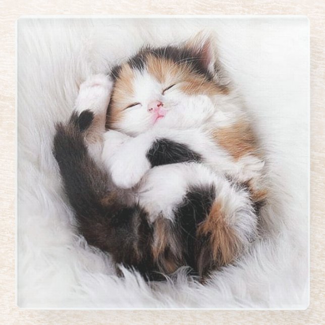Schlafen Kitty Cat Untersetzer (Vorderseite)