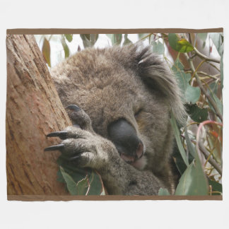 Schlafen Koala Bear Große Fleece Blanka