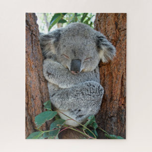 Schlafen Koala, Puzzle Jigsaw