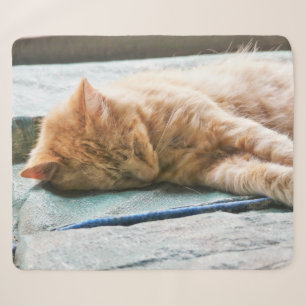 Schlafen Langhaarige Ginger Cat Fleece Blankon Sherpadecke