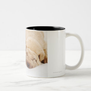 Schlafen mit zwei Shar Pei Welpen Zweifarbige Tasse
