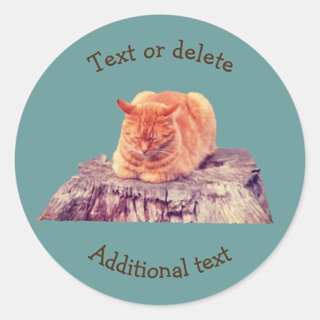 Schlafen Orange Tabby Cat Tier Personalisiert Runder Aufkleber (Vorderseite)