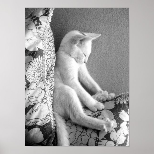 Schlafen Poster (Vorne)