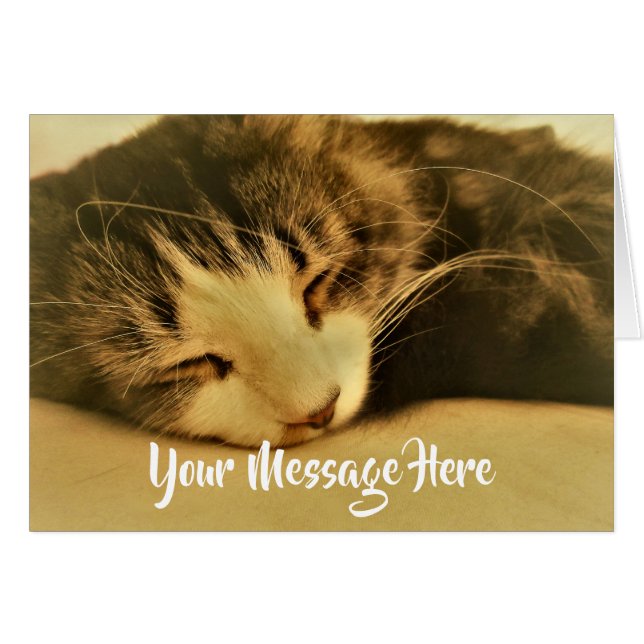 Schlafen Sepia Cat Napping (Vorderseite (Horizontal))