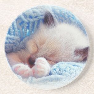 Schlafen Siamese Kitten Paws Getränkeuntersetzer
