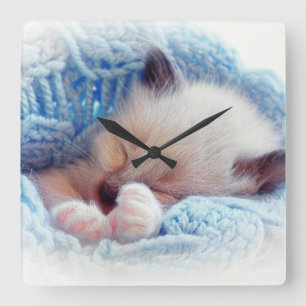 Schlafen Siamese Kitten Paws Quadratische Wanduhr
