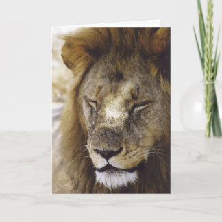 Schlafen Simba (Löwe) Karte