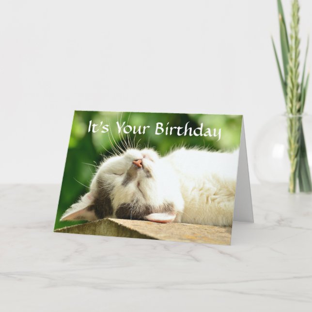 Schlafen Weiße Katze Geburtstag Karte (Vorderseite)
