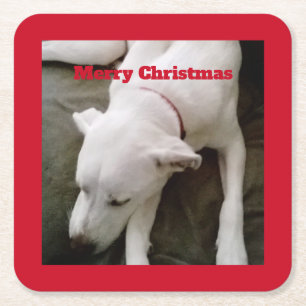 Schlafen White Puppy Dog Weihnachtsplatz Rechteckiger Pappuntersetzer