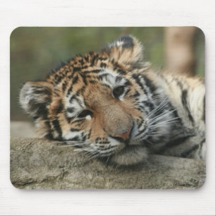 Schlafenbaby-Tiger Mousepad