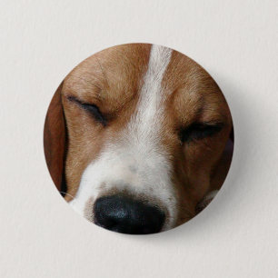 SchlafenBeagle-runder Knopf Button
