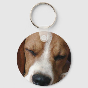 SchlafenBeagle-Schlüsselanhänger Schlüsselanhänger