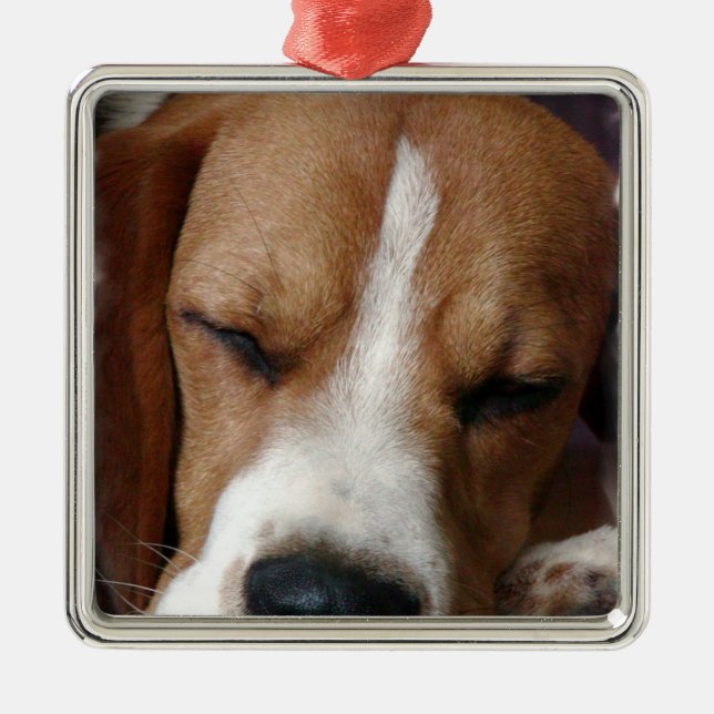 SchlafenBeagle-Verzierung Ornament Aus Metall (Vorne)