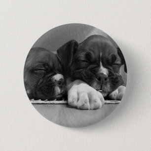 Schlafenboxer-Welpenknopf Button