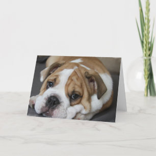 Schlafenbulldoggen-Gruß-Karte Karte