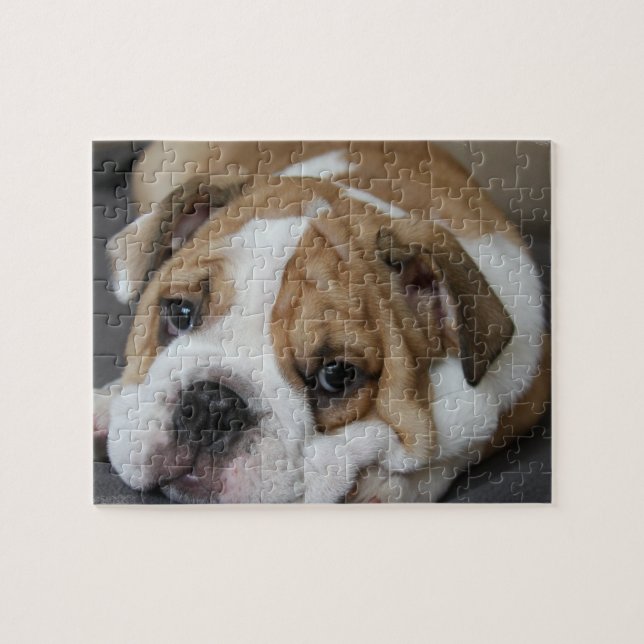 Schlafenbulldoggen-Puzzlespiel (Horizontal)