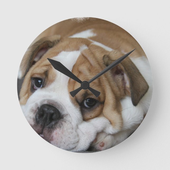Schlafenbulldoggen-Uhr Runde Wanduhr (Vorderseite)