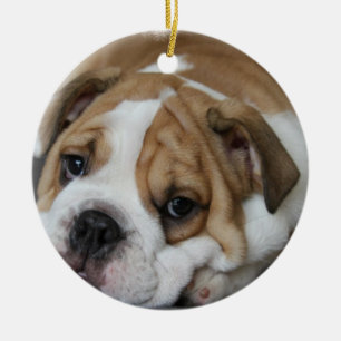 Schlafenbulldoggen-Verzierung Keramikornament