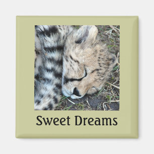Schlafencheetah-CUB-Foto Magnet