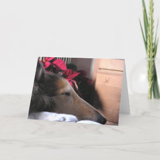 Schlafencollie-Feiertags-Karte Feiertagskarte