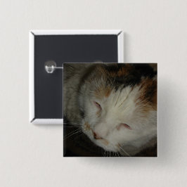 Schlafende Dreifarbenkatze Button