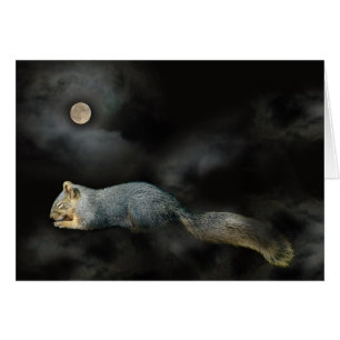 Schlafende Eichhörnchenkarte