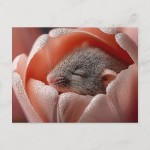 Schlafende Erntemaus in einer taufeuchten Tulpe Postkarte
