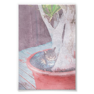 schlafende Freiluftkatze Digitale Kunst Wasserfarb Fotodruck