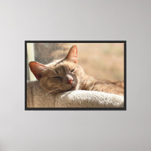 Schlafende getigerte Katze in Creme - Friedliche K Leinwanddruck