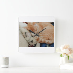 Schlafende Katze Foto Wanduhr