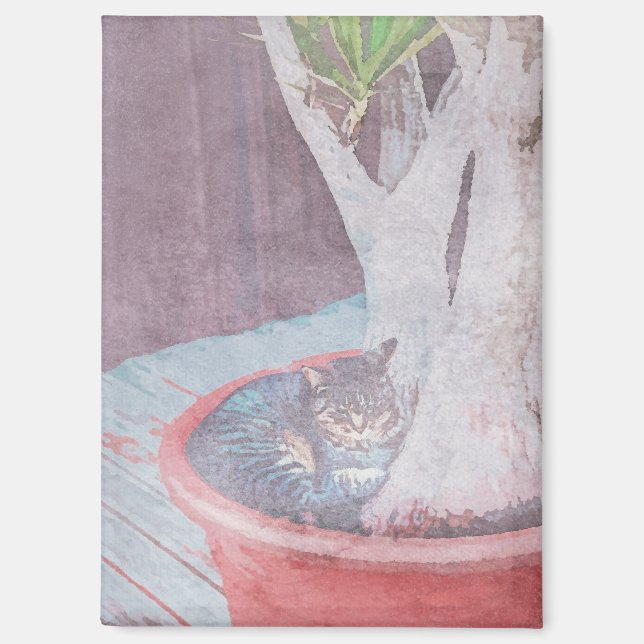 Schlafende Katze Magnet (Vorderseite)