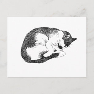 Schlafende Katze – Sanfte Erinnerung zur Ruhe Postkarte