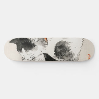 Schlafende Katze Skateboard