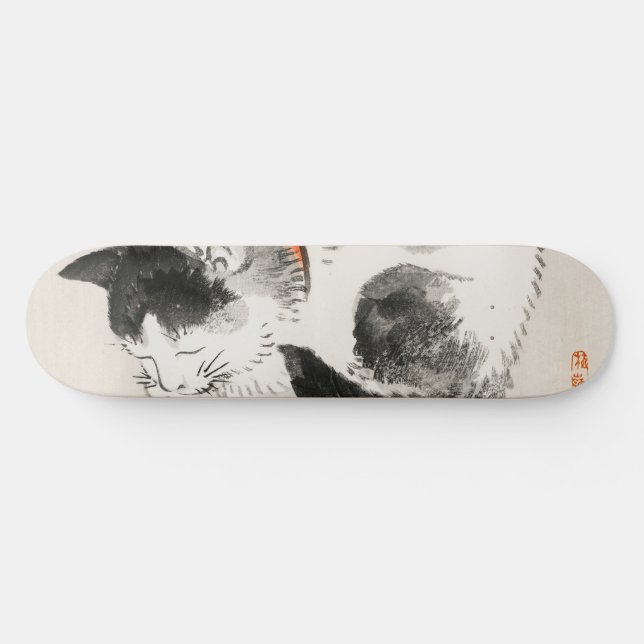 Schlafende Katze Skateboard (Horizontal)
