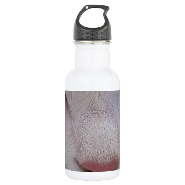 Schlafende Katze Trinkflasche (Vorderseite)