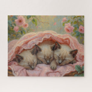 Schlafende Katzen