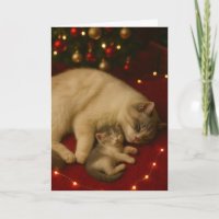 Schlafende Katzen Weihnachten Gefalteter Gruß