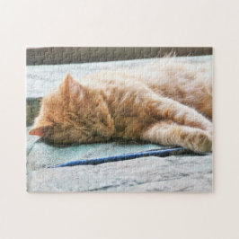 Schlafende Langeginger-Katze