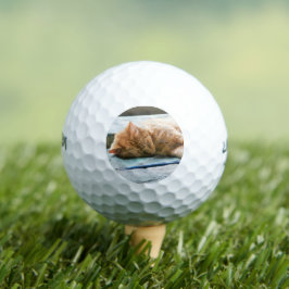 Schlafende Langeginger-Katze Golfball