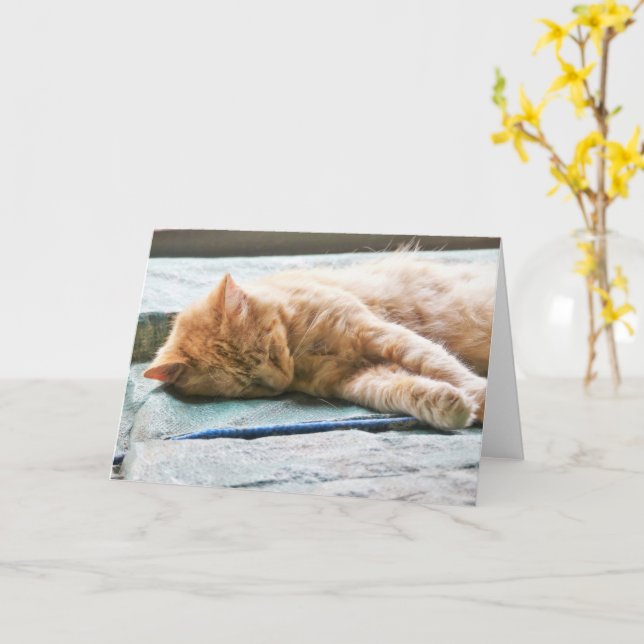Schlafende Langeginger-Katze Karte (Gelbe Blume)