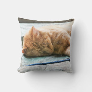 Schlafende Langeginger-Katze Kissen