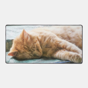 Schlafende Langeginger-Katze Schreibtischunterlage