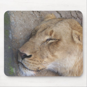 Schlafende Löwin Mousepad