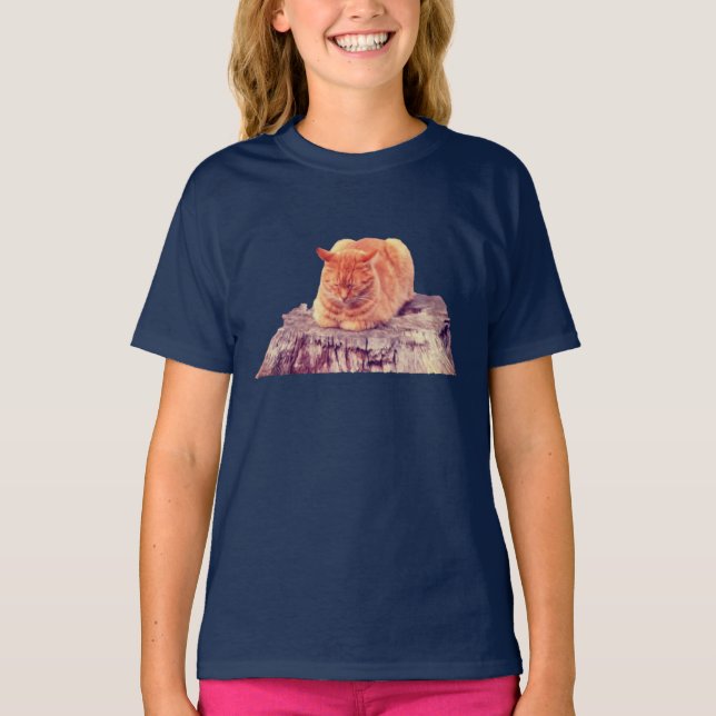Schlafende Orange Tabby Cat T-Shirt (Vorderseite)