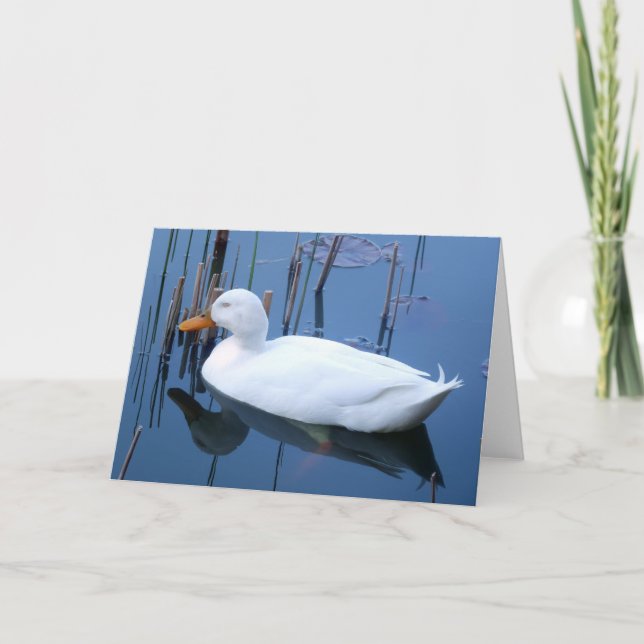 Schlafende Reflektion bei weißem Duck Karte (Vorderseite)