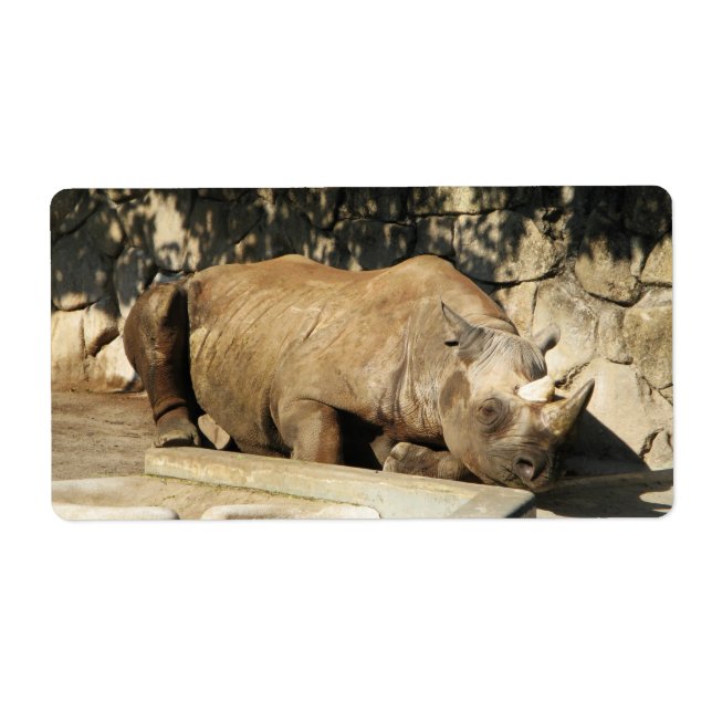 Schlafende Rhino (Vorne)