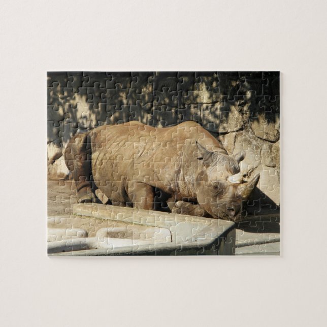 Schlafende Rhino (Horizontal)