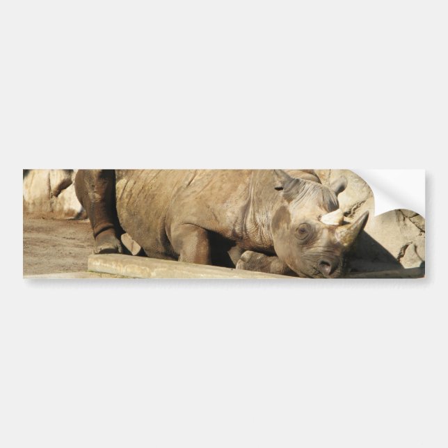 Schlafende Rhino Autoaufkleber (Vorne)