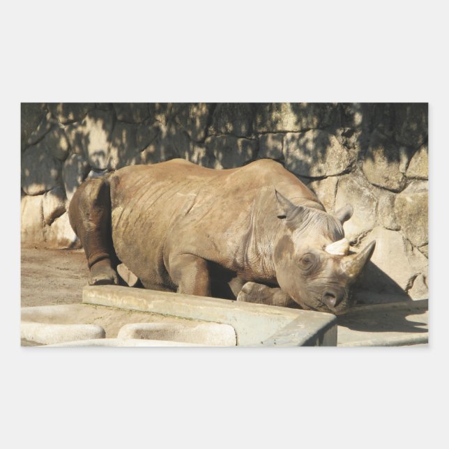 Schlafende Rhino Rechteckiger Aufkleber (Vorderseite)