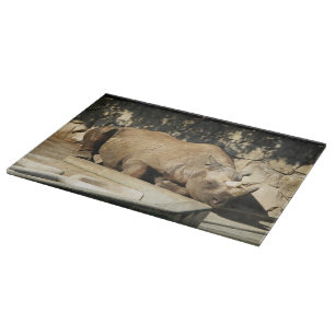 Schlafende Rhino Schneidebrett
